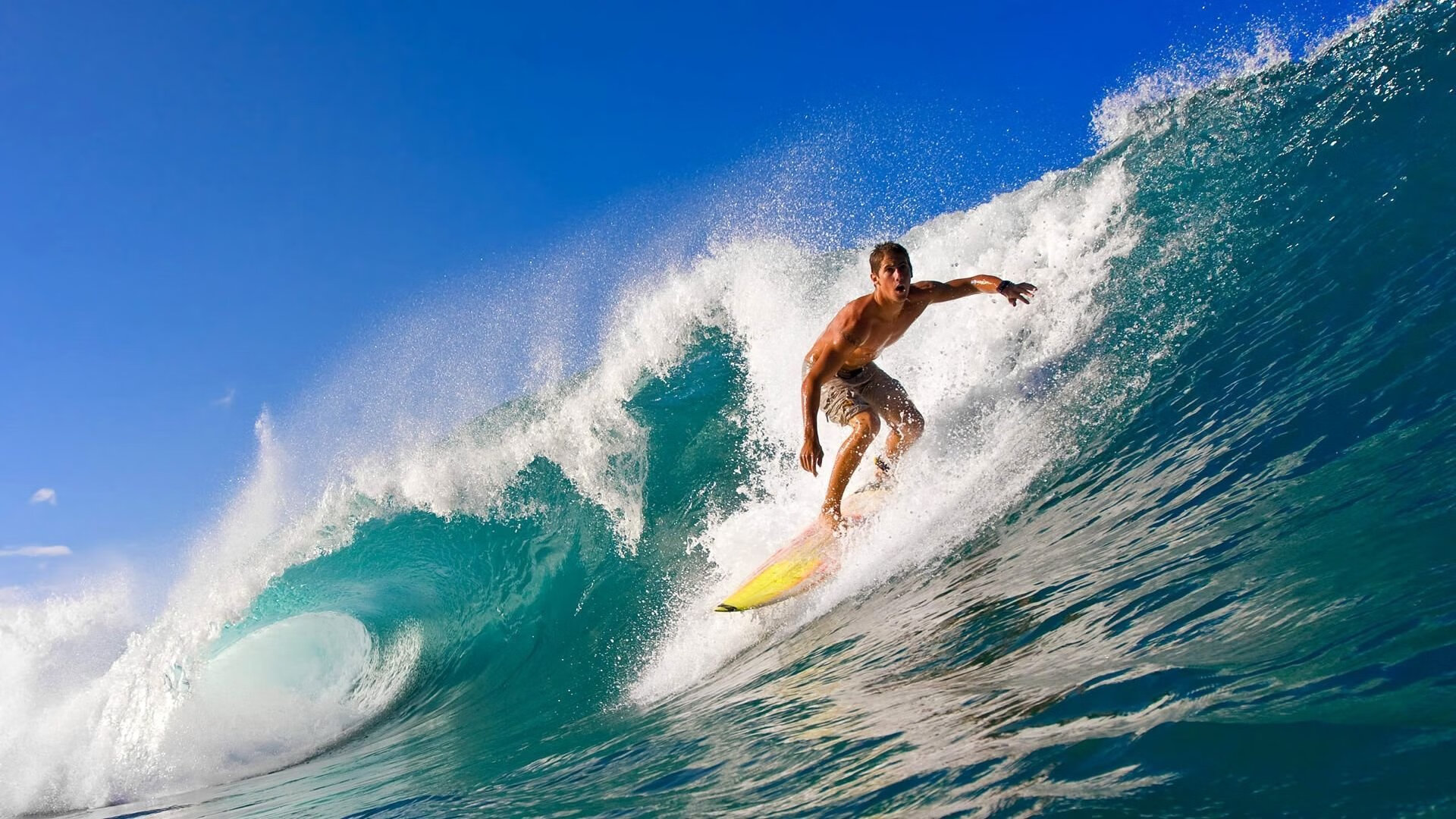 “世界游泳锦标赛新加坡：最值得关注的运动员是谁？”