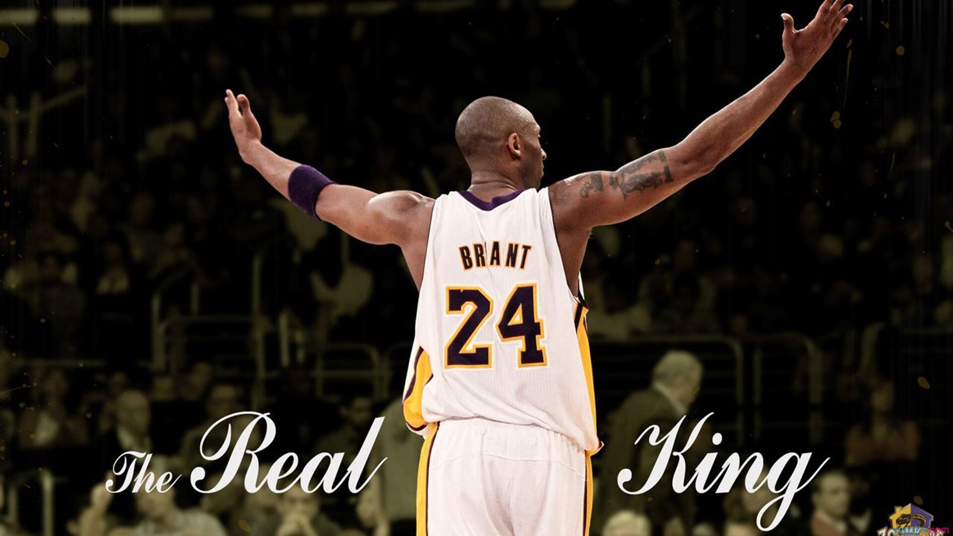 隆戈：凭借惊人的力量和速度，成为全黑队的超级边锋，隆戈斯干红葡萄酒价格